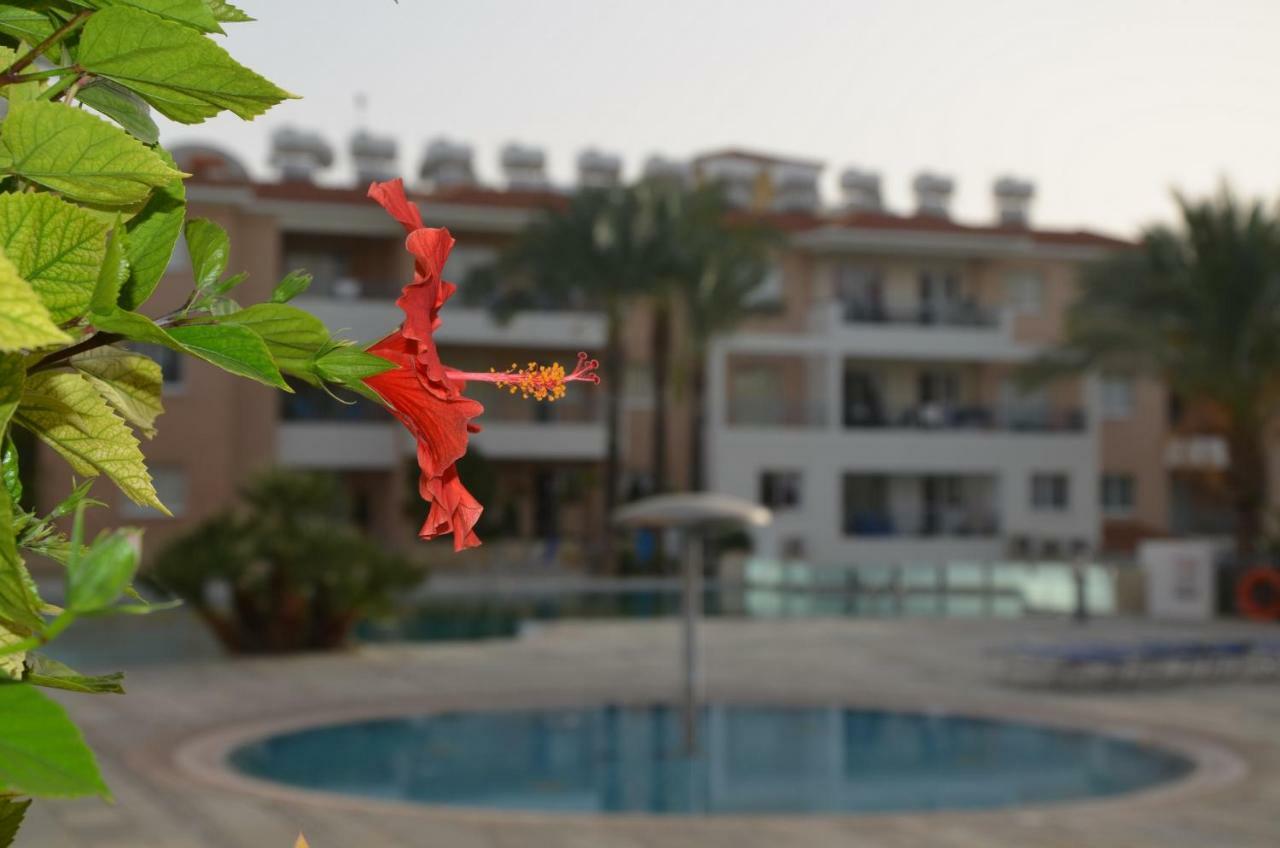 Iris Village Paphos Exterior photo